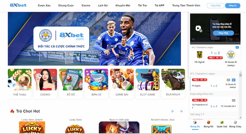 8XBET – Nhà cái cá độ thể thao chất lượng hàng đầu Châu Á